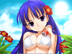 Rule 34 | 1girl, bikini, blue hair, braid, breasts, can, cleavage, cloud, coca-cola, colored eyelashes, covered erect nipples, day, derivative work, flower, hair flower, hair ornament, head tilt, highres, holding, holding can, large breasts, long hair, looking at viewer, ocean, purple eyes, sakura dust, side braid, sky, smile, solo, swimsuit, upper body, wallpaper, white bikini