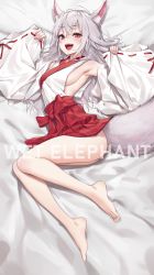 Rule 34 | 1girl, :d, animal ear fluff, animal ears, armpits, artist name, bare legs, bare shoulders, barefoot, bed sheet, blush, bow, breasts, detached sleeves, fangs, fox ears, fox girl, fox tail, full body, grey hair, hakama, highres, japanese clothes, kimono, large breasts, long hair, long sleeves, lying, no panties, on bed, on side, open mouth, original, red bow, red hair, red hakama, red ribbon, ribbon, ribbon-trimmed sleeves, ribbon trim, sideboob, sideless outfit, sleeves past wrists, smile, tail, teeth, upper teeth only, upskirt, wet.elephant, white kimono, wide sleeves