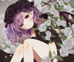 Rule 34 | 1girl, alternate costume, bare shoulders, bat wings, black dress, black hat, blurry, blurry foreground, blush, commentary, depth of field, dress, flower, frilled sleeves, frills, hair between eyes, hat, jpeg artifacts, knees up, looking at viewer, medium hair, mob cap, parted lips, petals, pointy ears, puffy short sleeves, puffy sleeves, purple hair, red eyes, remilia scarlet, rose, short sleeves, sitting, slit pupils, smile, solo, symbol-only commentary, touhou, white flower, white rose, wings, yedan999