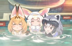 Rule 34 | 3girls, animal ears, bare shoulders, black hair, black neckwear, blonde hair, blush, bow, bowtie, commentary request, common raccoon (kemono friends), elbow gloves, extra ears, closed eyes, fang, fennec (kemono friends), fox ears, fox girl, fur collar, fur trim, gloves, grey hair, kemono friends, multicolored hair, multiple girls, onsen, open mouth, partially submerged, print neckwear, puffy short sleeves, puffy sleeves, raccoon ears, raccoon girl, raccoon tail, serval (kemono friends), serval print, serval tail, sh703i, short hair, short sleeves, sleeveless, steam, sweatdrop, tail, towel, towel on head, water, white gloves, white hair, yellow neckwear