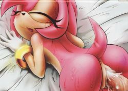 Rule 34 | 1girl, amy rose, ass, bed, furry, highres, nude, orgasm, penis, sega, sex, sonic (series), tail, tcprod