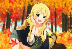 Rule 34 | 1girl, :d, aco (bearchannel), ahoge, autumn, autumn leaves, bent over, bird, black shirt, blonde hair, blurry, blurry background, blurry foreground, breasts, cleavage, cowboy shot, day, depth of field, duck, green eyes, grey shorts, hand in own hair, highres, hoshii miki, idolmaster, idolmaster (classic), jacket, unworn jacket, jewelry, long hair, long sleeves, looking at viewer, medium breasts, necklace, open mouth, outdoors, shirt, short shorts, shorts, smile, solo, standing, tree