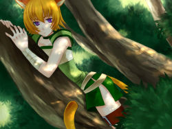 Rule 34 | 1girl, 74, animal ears, bandages, cat ears, cat girl, cat tail, dappled sunlight, facial mark, fire emblem, fire emblem: path of radiance, lethe (fire emblem), nintendo, orange hair, purple eyes, solo, sunlight, tail, thigh strap, thighhighs, tree