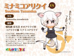 Rule 34 | 1girl, animal ears, closed mouth, extra ears, highres, kemono friends, looking at viewer, official art, simple background, solo, southern tamandua ex (kemono friends), tail, white hair, yoshizaki mine