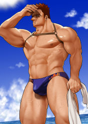 Rule 34 | 1boy, abs, alternate costume, armpit hair, armpit peek, bara, bare pectorals, beach, blue male swimwear, blue swim briefs, boku no hero academia, bulge, chest hair, chest harness, endeavor (boku no hero academia), facial hair, feet out of frame, flame print, hand on own face, harness, highres, large pectorals, leather, leg hair, male focus, male swimwear, mature male, muscular, muscular male, navel hair, nipples, p (pppppppppq), pectorals, print male swimwear, print swim briefs, scar, scar across eye, scar on face, short hair, sideburns, sky, solo, spiked hair, stomach, stubble, summer, sun, sunlight, sweat, swim briefs, swimsuit, thick thighs, thighs, water
