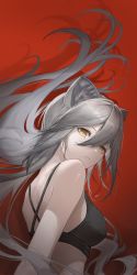 Rule 34 | 1girl, absurdres, animal ears, aoliaobingxiaogan o, arknights, bare shoulders, breasts, cat ears, commentary request, crop top, grey hair, hair between eyes, highres, large breasts, long hair, looking at viewer, midriff, red background, schwarz (arknights), solo, upper body, very long hair, yellow eyes