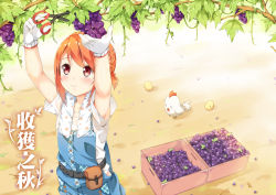 Rule 34 | 1girl, armpit peek, armpits, arms up, bare arms, belt, belt pouch, bird, black belt, blush, box, braid, branch, chick, chicken, collarbone, commentary request, cowboy shot, crown braid, day, floral print, food, fruit, gloves, grape vine, grapes, hair ribbon, harvest, hatsunatsu, highres, holding, holding food, holding fruit, holding scissors, leaf, looking up, orange hair, original, outdoors, overalls, plaid, plant, pouch, print towel, red eyes, red ribbon, ribbon, scissors, shirt, short sleeves, sidelocks, smile, solo, standing, stick, suspenders, sweat, tareme, towel, towel around neck, translation request, utility belt, vines, wet, wet clothes, wet shirt, white gloves, white shirt, white towel