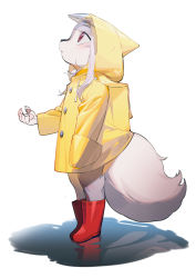 Rule 34 | 1girl, absurdres, boots, child, coat, female focus, from side, full body, furry, furry female, grey hair, highres, hood, hood up, looking up, original, profile, puddle, raincoat, red footwear, reflection, solo, standing, tail, wo xuyao jiashui, wolf tail, yellow coat