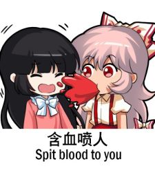 Rule 34 | 2girls, bilingual, black hair, blood, bow, chibi, chinese text, closed eyes, collared shirt, english text, engrish text, fujiwara no mokou, hair between eyes, hair bow, hime cut, houraisan kaguya, jokanhiyou, long hair, looking at another, mixed-language text, motion lines, multiple girls, no nose, open mouth, outline, pink hair, pink shirt, puffy short sleeves, puffy sleeves, ranguage, red eyes, shirt, short sleeves, silver hair, simple background, spitting, spitting blood, suspenders, touhou, upper body, very long hair, white background, white bow, white shirt