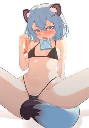 Rule 34 | 1girl, absurdres, animal ear fluff, animal ears, arm behind back, bacon, bikini, black bikini, blue archive, blue eyes, blue hair, blush, breasts, commentary, food, hair between eyes, hair ornament, hairclip, hand up, highres, hip flask, holding, holding food, looking at viewer, medium hair, mouth hold, n3moni, navel, nose blush, shigure (blue archive), simple background, sitting, small breasts, solo, spread legs, sweat, swimsuit, tail, variant set, weasel ears, weasel girl, weasel tail, white background