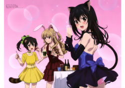 Rule 34 | 10s, 3girls, absurdres, aiba asagi, akatsuki nagisa, alcohol, animal ears, black hair, blush, bow, brown eyes, champagne, detexted, drink, elbow gloves, food, gloves, hair bow, hair ornament, hairclip, highres, himeragi yukina, imoto yuki, long hair, looking back, multiple girls, non-web source, official art, open mouth, panties, ponytail, rabbit ears, smile, strike the blood, striped clothes, striped panties, tail, third-party edit, underwear