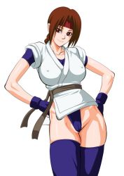 Rule 34 | braid, brown hair, cameltoe, covered erect nipples, hands on own hips, lime (purple haze), looking at viewer, smile, snk, the king of fighters, thighs, thong, yuri sakazaki