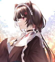 Rule 34 | 1girl, animal ears, black choker, black hair, brown kimono, choker, commentary request, dog ears, dog hair ornament, hair ornament, hand up, heterochromia, highres, inui toko, japanese clothes, jazztaki, kimono, long hair, long sleeves, looking away, low twintails, maid, nijisanji, parted lips, red eyes, sleeves past wrists, solo, twintails, upper body, very long hair, virtual youtuber, wa maid, wide sleeves, yellow eyes