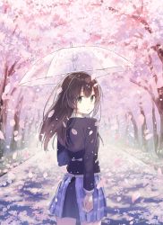 Rule 34 | 1girl, arm at side, back, blue skirt, booota, brown hair, cherry blossoms, collared shirt, from behind, green eyes, hair between eyes, highres, holding, holding umbrella, jacket, light smile, long hair, looking at viewer, looking back, original, outdoors, path, petals, plaid, plaid skirt, pleated skirt, purple skirt, road, school uniform, shirt, skirt, solo, standing, transparent, transparent umbrella, umbrella, white shirt, wind