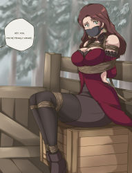 Rule 34 | 1girl, absurdres, bare shoulders, bdsm, bondage, bound, breasts, brown hair, cart, cleavage, dorothea arnault, dress, earrings, fire emblem, fire emblem: three houses, gag, gagged, green eyes, highres, intelligent systems, jewelry, large breasts, long hair, looking at viewer, nintendo, outdoors, panel gag, red dress, ryner-e, sitting, sleeveless, sleeveless dress, solo, speech bubble, tree