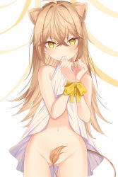 Rule 34 | 1girl, ahoge, animal ears, bad id, bad pixiv id, bare shoulders, bound, bound wrists, brown hair, clothes lift, dress, dress lift, hands up, highres, indie virtual youtuber, lifting own clothes, lion ears, lion girl, lion tail, long hair, looking at viewer, mouth hold, noa (hkgbkk8), orange eyes, restrained, ribbon, rurudo lion, sleeveless, sleeveless dress, solo, tail, tail censor, v-shaped eyebrows, virtual youtuber, white dress, yellow ribbon
