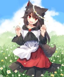 Rule 34 | &gt;:d, 1girl, :d, animal ears, bad id, bad pixiv id, black hair, blouse, blush, brooch, claw pose, collarbone, commentary request, day, dress, fangs, field, flower, flower field, full body, hair between eyes, head wreath, imaizumi kagerou, jewelry, long hair, looking at viewer, open mouth, red eyes, red skirt, shirt, skirt, smile, solo, suminagashi, tail, touhou, v-shaped eyebrows, white shirt, wolf ears, wolf tail