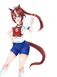 Rule 34 | 1girl, animal ears, blue eyes, blue shorts, brown hair, character name, commentary, gym shirt, gym shorts, gym uniform, hair ribbon, hand on own hip, highres, horse ears, horse girl, horse tail, kemuri (etep3372), kneehighs, long hair, looking at viewer, multicolored hair, open mouth, pink ribbon, ponytail, race bib, ribbon, shirt, short sleeves, shorts, simple background, smile, socks, solo, standing, streaked hair, t-shirt, tail, tokai teio (umamusume), translated, two-tone hair, umamusume, v, white background, white hair, white shirt, white socks