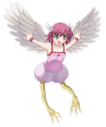 Rule 34 | 1girl, harpy, harpy (muromi-san), monster girl, namiuchigiwa no muromi-san, ooba kou, solo, winged arms, wings