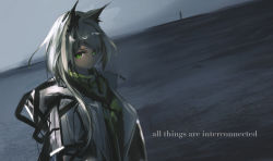 Rule 34 | 1girl, absurdres, alternate costume, animal ears, arknights, commentary request, green eyes, grey hair, grey jacket, highres, jacket, kal&#039;tsit (arknights), long hair, looking at viewer, mackia, partial commentary, solo, upper body