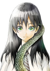 Rule 34 | 1girl, black hair, black necktie, blouse, burningblossom, collared shirt, cover, cover image, cover page, extra eyelids, green eyes, hair behind ear, highres, lizard tail, long hair, manga cover, mukasete! ryuugasaki-san, necktie, official art, reptile girl, ryuugasaki-san, school uniform, shirt, solo, tail, textless version, white background, white shirt