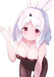 Rule 34 | 1girl, animal ears, arctic hare (kemono friends), bare arms, bare shoulders, black leotard, black pantyhose, breasts, cleavage, collarbone, commentary, fake animal ears, hand up, kemono friends, large breasts, leaning forward, leotard, light smile, looking at viewer, medium hair, note (suzu note000), pantyhose, playboy bunny, rabbit ears, rabbit girl, rabbit tail, red eyes, simple background, solo, split mouth, tail, white background, white hair