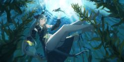Rule 34 | 1girl, absurdres, arknights, barefoot, black gloves, black ribbon, commentary, detached sleeves, dress, fins, fish tail, full body, gloves, grey dress, grey hair, grey sleeves, hair ribbon, highres, kelp, leaf (arknights), light rays, long hair, looking at animal, low-tied long hair, miniskirt, parted lips, red eyes, ribbon, rouzato, single glove, skirt, sleeveless, sleeveless dress, solo, tactical clothes, tail, underwater, very long hair, weedy (arknights)