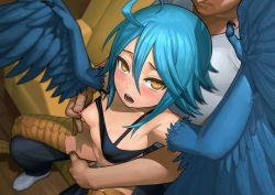 Rule 34 | 1boy, 1girl, ahoge, armpits, arms up, blue hair, blue wings, blurry, blush, breasts, brown eyes, clothes lift, depth of field, egg, egg laying, feathered wings, fingering, from above, harpy, head out of frame, hetero, lasterk, light blush, looking at viewer, looking up, monster girl, monster musume no iru nichijou, navel, nipple stimulation, nipple tweak, nipples, open mouth, papi (monster musume), shirt lift, small breasts, socks, solo focus, stomach, sweatdrop, talons, winged arms, wings