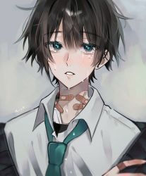 Rule 34 | 1boy, a20190422, artist name, bandaid, black hair, black sweater, blunt bangs, collared shirt, crying, crying with eyes open, green eyes, green necktie, hair between eyes, highres, light blush, looking at viewer, necktie, open clothes, original, school uniform, shirt, short hair, signature, simple background, solo, sweater, tears, white shirt