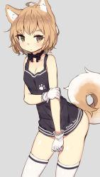 Rule 34 | 1girl, ahoge, animal ear fluff, animal ears, bare shoulders, black bow, black bowtie, black dress, bow, bowtie, brown eyes, clothes writing, cowboy shot, dog ears, dog girl, dog tail, dress, gloves, grey background, highres, leaning forward, light brown hair, looking at viewer, medium hair, original, paw print, petite, shiba inu, shone, simple background, sleeveless, solo, tail, thighhighs, thighs, white background, white gloves
