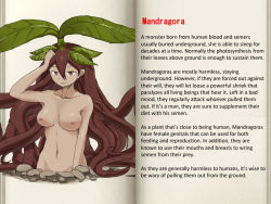 Rule 34 | brown hair, character profile, long hair, mandragora, mon-musu quest!, monster girl, plant girl, tagme, text focus, translated