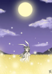 Rule 34 | animal ears, field, full moon, kanon, kawasumi mai, meitou muku, moon, night, rabbit ears, solo