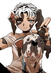 1boy absurdres animal_ears black_hair body_markings brown_gloves closed_mouth commentary_request dog dog_boy dog_ears fingerless_gloves gloves great_dane grey_eyes hand_up highres looking_at_viewer male_focus original shima_(wansyon144) shirt short_hair short_sleeves simple_background sitting smile solo t-shirt upper_body very_short_hair white_background white_hair