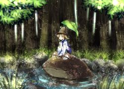 Rule 34 | 1girl, blonde hair, brown headwear, commentary request, dappled sunlight, day, frog, holding, holding leaf, itomugi-kun, leaf, leaf umbrella, long sleeves, medium hair, moriya suwako, open mouth, outdoors, pond, purple skirt, purple vest, riding, ripples, skirt, solo, squatting, sunlight, thighhighs, touhou, tree, vest, water, white thighhighs, wide sleeves, yellow eyes