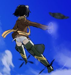 Rule 34 | 1girl, animal ears, ass, black hair, blue sky, brave witches, cloud, day, dog ears, dog tail, dutch angle, fankupl, from behind, highres, jacket, kanno naoe, neuroi, panties, scarf, short hair, sketch, sky, solo, striker unit, tail, underwear, white legwear, world witches series