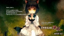 Rule 34 | 1girl, animal ear fluff, animal ears, black hair, blood, brown eyes, cat ears, cat girl, cat tail, dress, forest, hands on own chest, hitomaru, long sleeves, looking at viewer, nature, original, outdoors, short hair, solo, tail, tears, translation request, white dress, white sleeves