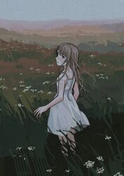 Rule 34 | 1girl, black eyes, breasts, brown hair, commentary, dress, english commentary, expressionless, field, floating hair, flower, flower field, grass, highres, io (onisarashi), long hair, muted color, nature, original, scenery, sky, small breasts, solo, sundress, white dress, wind