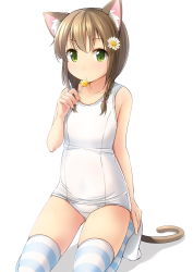 Rule 34 | 1girl, animal ear fluff, animal ears, bare arms, bare shoulders, blush, bow, braid, breasts, brown hair, candy, cat ears, cat girl, cat tail, closed mouth, collarbone, commentary request, fingernails, flower, food, green eyes, hair bow, hair flower, hair ornament, hand up, highres, holding, holding candy, holding food, holding lollipop, kneeling, lollipop, long hair, looking at viewer, no shoes, old school swimsuit, one-piece swimsuit, original, pink bow, school swimsuit, shibacha, small breasts, solo, striped clothes, striped thighhighs, swimsuit, tail, thighhighs, thighs, twin braids, white background, white flower, white one-piece swimsuit, white school swimsuit