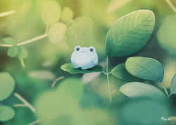 Rule 34 | :3, animal focus, ayu (mog), blurry, blurry background, depth of field, frog, green theme, looking at viewer, no humans, original, signature, smile
