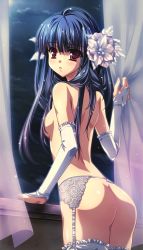 Rule 34 | 1girl, ass, back, blue hair, breasts, bridal gauntlets, curtain grab, curtains, elbow gloves, flower, garter belt, gloves, hair flower, hair ornament, highres, looking back, night, night sky, no panties, purple eyes, resized, sky, solo, thighhighs, topless, upscaled, window, yasaka minato