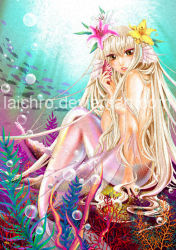 Rule 34 | 1girl, bare shoulders, blonde hair, coral, fins, fish, flower, head fins, long hair, mermaid, monster girl, solo, underwater, watermark