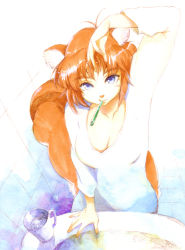Rule 34 | 1girl, animal ears, arm up, blue eyes, breasts, brown hair, cleavage, furry, furry female, highres, hirokazu, mouth hold, original, solo, squirrel ears, squirrel tail, tail, toothbrush, v-neck