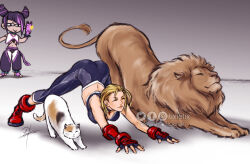 Rule 34 | 2girls, animal ears, ass, breasts, cammy white, cat, cat ears, cat tail, cellphone, crop top, fingerless gloves, gloves, han juri, large breasts, lion, medium breasts, medium hair, multiple girls, pants, phone, short hair, sleeveless, street fighter, street fighter 6, stretching, tail, tixie lix