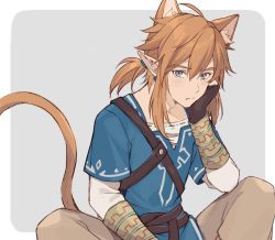 Rule 34 | 1boy, animal ears, blue eyes, cat ears, cat tail, clothes, link, looking at viewer, pointy ears, serious, simple background, tail, the legend of zelda, the legend of zelda: breath of the wild