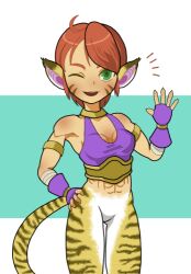 Rule 34 | 1girl, animal ears, breasts, breath of fire, breath of fire ii, cat ears, facial mark, fingerless gloves, gloves, green eyes, looking at viewer, lowres, medium breasts, one eye closed, open mouth, orange hair, pointy ears, rinpoo chuan, short hair, sicky (pit-bull), smile, solo, striped tail, tail, tiger tail