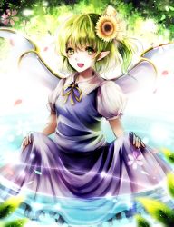 Rule 34 | 1girl, clothes lift, daiyousei, dress, eyelashes, fairy wings, flower, green eyes, green hair, hair flower, hair ornament, highres, kotonoman, leaf, leaf background, light trail, looking at viewer, matching hair/eyes, open mouth, petals, pointy ears, puffy short sleeves, puffy sleeves, short hair, short sleeves, side ponytail, skirt, skirt lift, solo, sunflower, touhou, wings