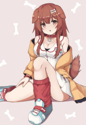 Rule 34 | 1girl, :o, animal ears, bone hair ornament, bracelet, breasts, brown eyes, brown hair, collar, dog ears, dog girl, dress, hair ornament, hand on own thigh, highres, hololive, inugami korone, inugami korone (1st costume), jewelry, light blush, looking at viewer, loose socks, medium breasts, nail polish, off-shoulder sweater, off shoulder, open mouth, sitting, socks, solo, sunsan, sweater, tube socks, virtual youtuber, white dress, yellow sweater