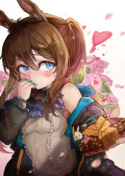 Rule 34 | 1girl, absurdres, amiya (arknights), animal ear fluff, animal ears, arknights, bad id, bad pixiv id, bare shoulders, black jacket, blue eyes, blush, box, brown hair, center frills, closed mouth, commentary, english commentary, floral background, flower, frilled shirt, frills, gift, gift box, hair between eyes, hand up, heart, heart-shaped box, highres, holding, holding gift, jacket, long hair, off shoulder, open clothes, open jacket, pink flower, pink rose, ponytail, puffy short sleeves, puffy sleeves, rabbit ears, rose, shirt, short sleeves, sleeveless, sleeveless shirt, solo, valentine, very long hair, vlu, white shirt