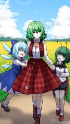 Rule 34 | 3girls, absurdres, antennae, black footwear, black shorts, blue dress, blue eyes, blue hair, blue sky, brown footwear, cape, cirno, cloud, collared shirt, commentary request, detached wings, dress, field, flower, flower field, full body, green eyes, green hair, highres, ice, ice wings, kazami yuuka, mountainous horizon, multiple girls, outdoors, pengin09rx, plaid clothes, plaid skirt, plaid vest, red eyes, red skirt, red vest, shirt, shoes, short hair, shorts, skirt, sky, socks, sunflower, sunflower field, touhou, vest, white flower, white shirt, white socks, wings, wriggle nightbug