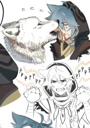 Rule 34 | 1boy, aa2mee, ahoge, animal ears, animal hands, bone necklace, clenched teeth, genshin impact, gloves, grey hair, hand up, highres, hood, licking, male focus, open mouth, paw gloves, razor (genshin impact), red eyes, scar, scar on face, simple background, sketch, solo, teeth, upper body, white background, wolf, wolf ears